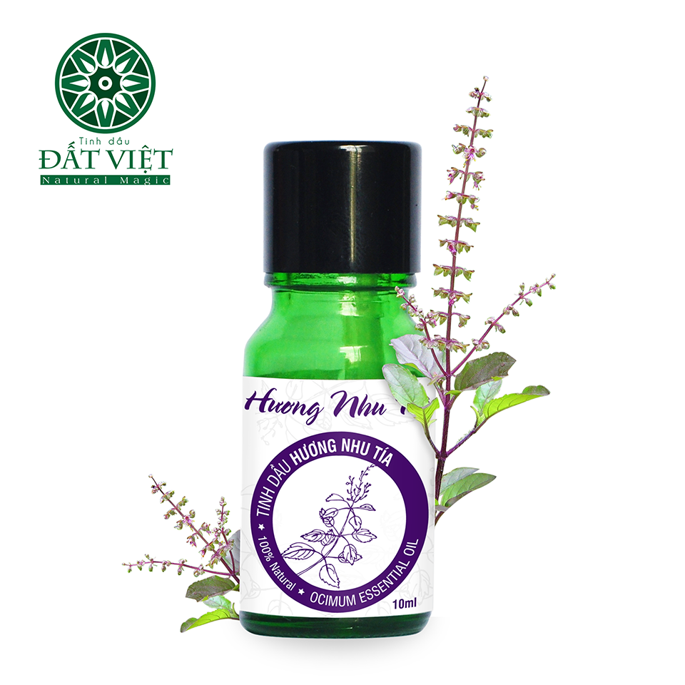  Tinh dầu hương nhu tía